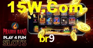 Programa VIP br9